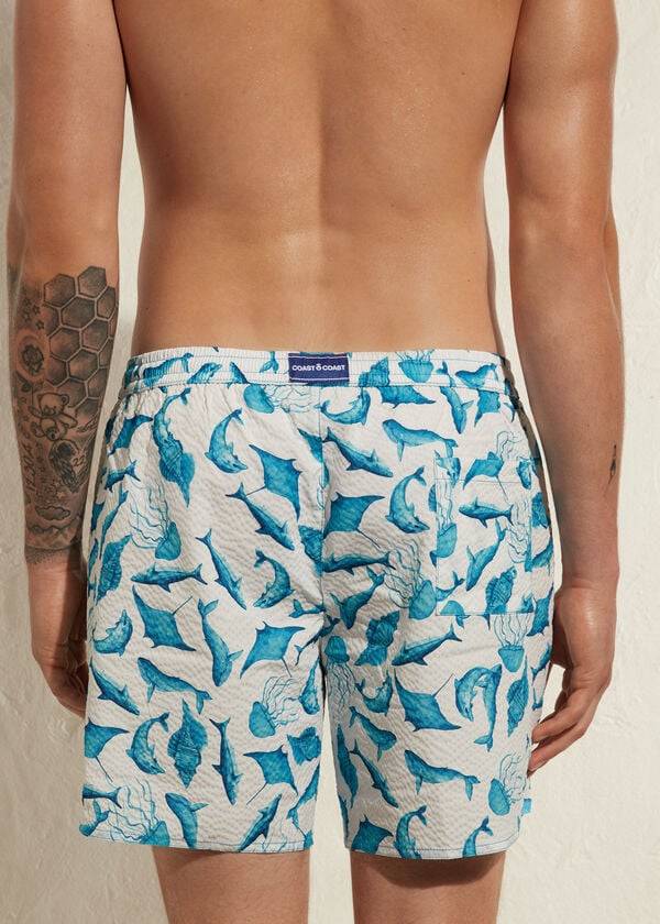 türkisweiße calzedonia formentera herren-badehose