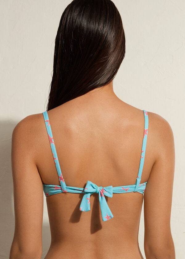 marineblaue calzedonia push-up-bikini-oberteile buenos aires mit polsterung